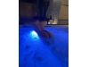 Logo Massaggi Top Exclusive