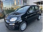 FIAT Panda Panda 1.0 FireFly S&S Hybrid *PROMO AZZURRA*