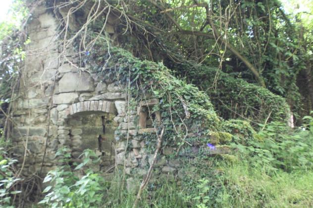 VENDESI COLONICA DA RESTAURARE IN VICCHIO LOCALITA' VIGNALE - Foto 6