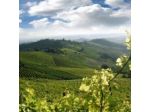 Agriturismo Cascina Monsignorotti