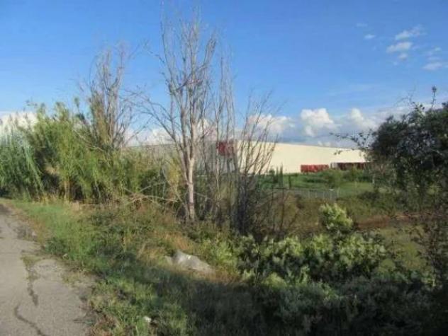 Immobile in asta di 281311 m² in vendita a Guidonia Montecelio - Foto 13