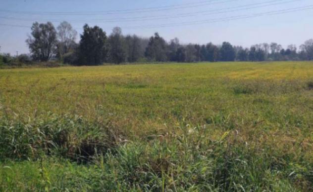 Immobile in asta di 22 m² in vendita a Ozzero - Foto 5