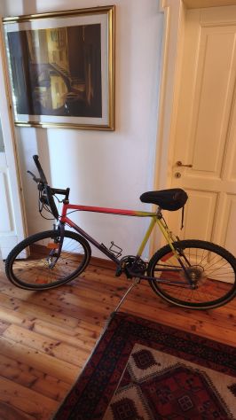 Mountain bike 27,5 pollici