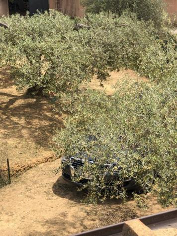 Casa Indipendente in vendita a Caltagirone - Foto 2