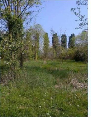 Immobile in asta di 11048 m² in vendita a Caneva - Foto 11