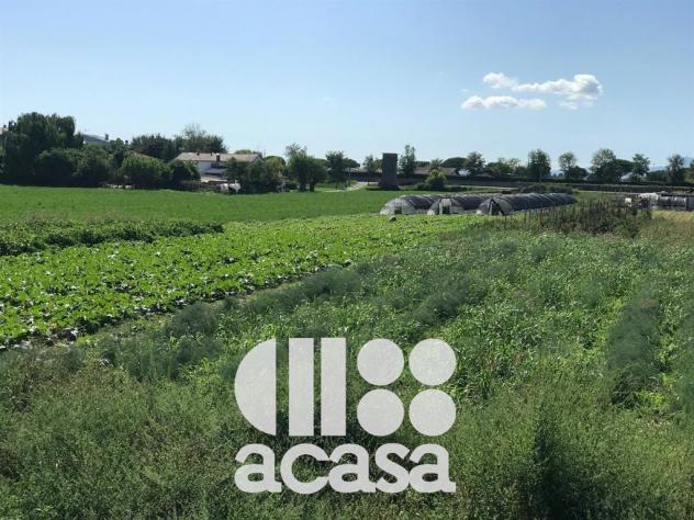 TERRENO AGRICOLO CON POZZO ARTESIANO - Foto 5