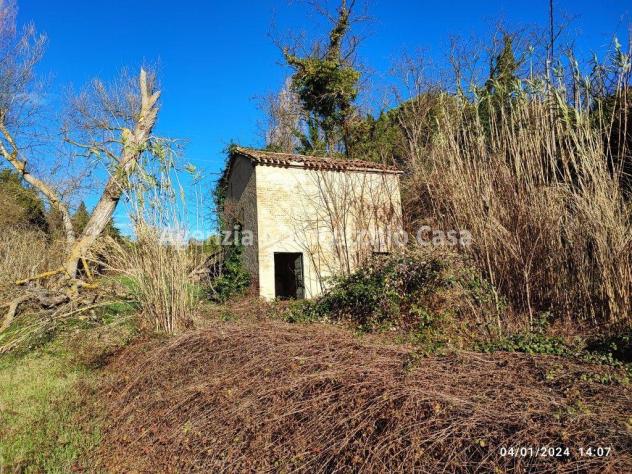 CASA COLONICA CON RICOVERO ATTREZZI, SILOS, TERRENO AGRICOLO E BOSCO - Foto 6