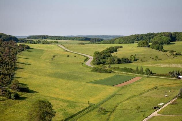 Agricolo in Località San Pietro - Foto 2