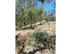 Agricolo in vendita a Lanciano