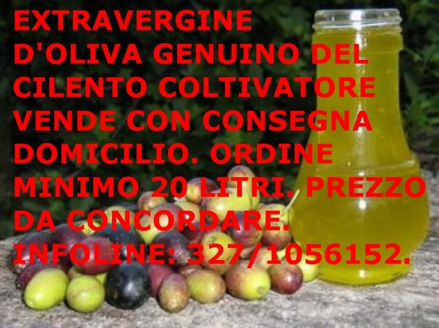 Piante grosse a radice nuda del rinomato carciofo bianco di Pertosa - Foto 8
