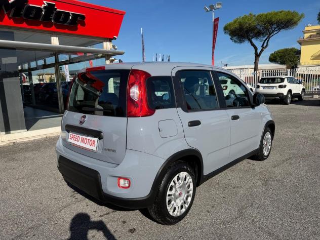 FIAT Panda Panda 1.0 firefly hybrid 70cv, CARPLAY, PRONTA CONSEGNA! - Foto 7