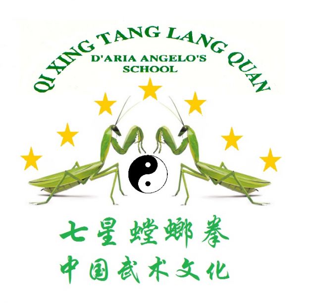 Corso di Kung fu e Qi Gong a Cittadella - Foto 3