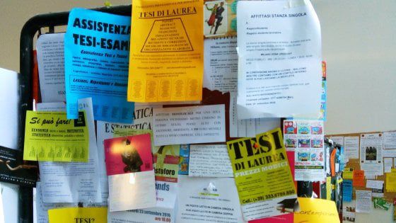 Consulenza per redazione tesi di laurea - Foto 2