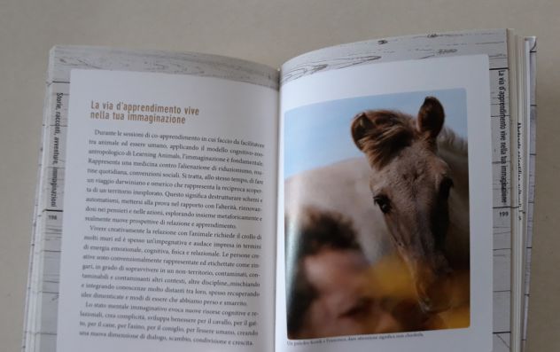 Comprendere il cavallo - Foto 10