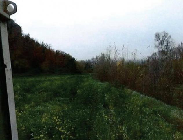 Immobile in asta di 70800 m² in vendita a Orte - Foto 11