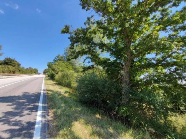 Immobile in asta di 10550 m² in vendita a Pietrabbondante - Foto 2