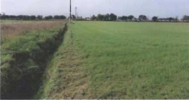 Immobile in asta di 88446 m² in vendita a Terracina - Foto 13