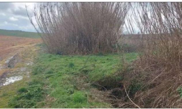 Immobile in asta di 30045 m² in vendita a Viterbo - Foto 9
