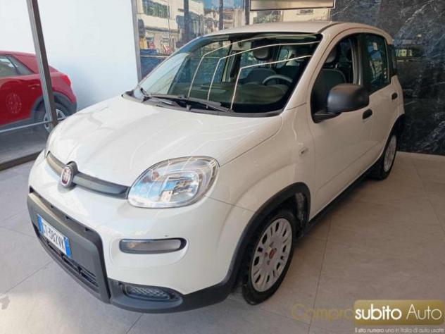 FIAT Panda 1.0 FireFly S&S Hybrid rif. 24055312 - Foto 2