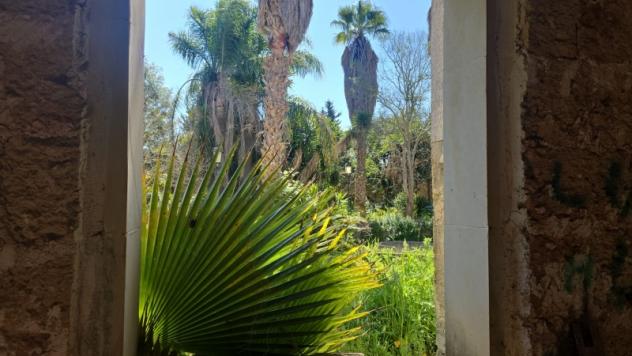 Autentica Masseria Salentina con oltre 4.600 mq di Terreno – Arnesano (Lecce) - Foto 7