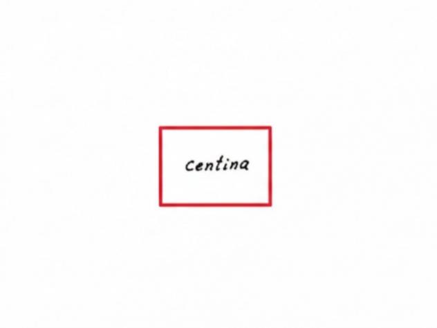 APPARTAMENTO RISTRUTTURATO - ULTIMO PIANO CON CANTINA E GARAGE - Foto 19