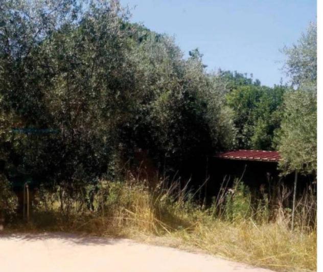 Immobile in asta di 353 m² con più di 5 locali in vendita a Monteroduni - Foto 16