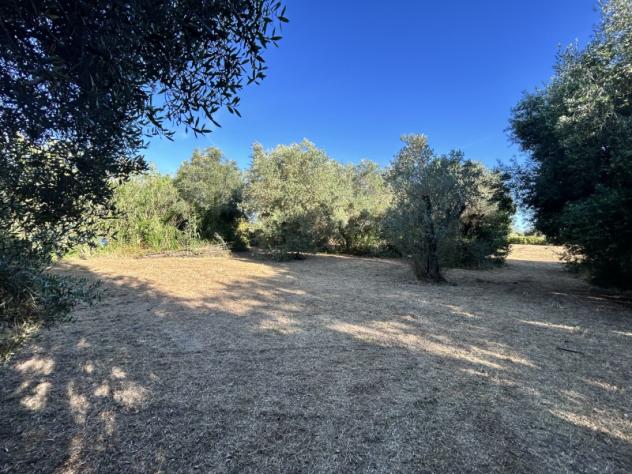 Agricolo in Via Cisternense - Foto 4
