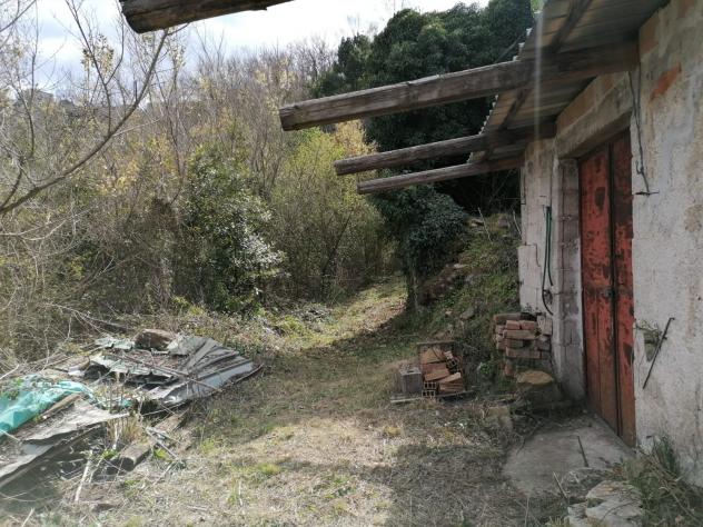 Agricolo in Contrada Puglisi - Foto 7