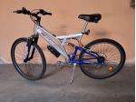 Bicicletta World Cup per ragazzo acquistata nell’anno 2008