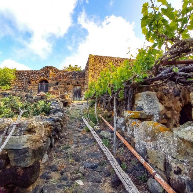 Altro in vendita a Pantelleria - Foto 13