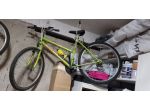 Mountain bike