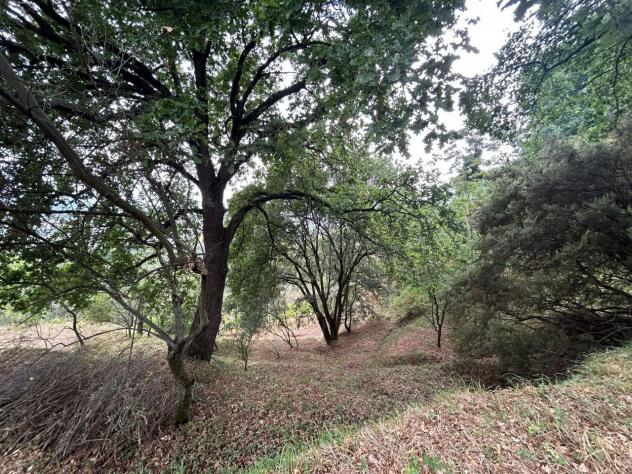 Agricolo in vendita a Arcola - Foto 10