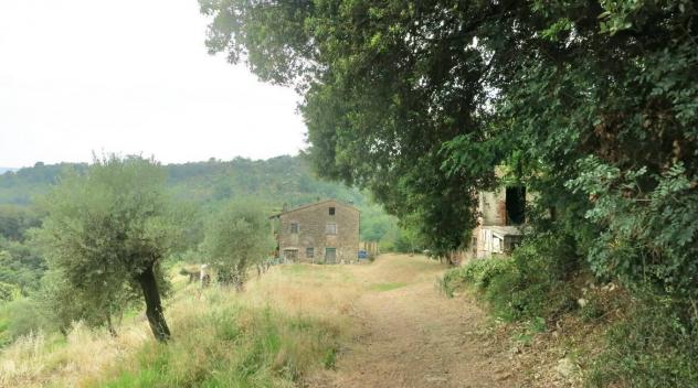 Casale in vendita a Sarzana - Foto 18