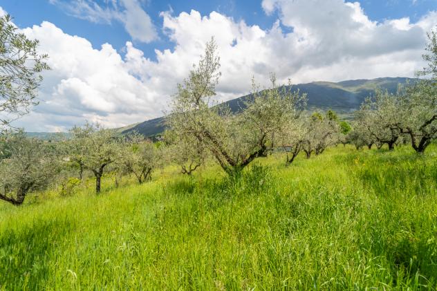 Villa in vendita a Serrone - Foto 20