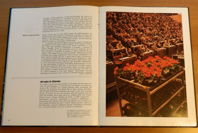 Piante fiorite d'appartamento, Mondadori - Foto 5