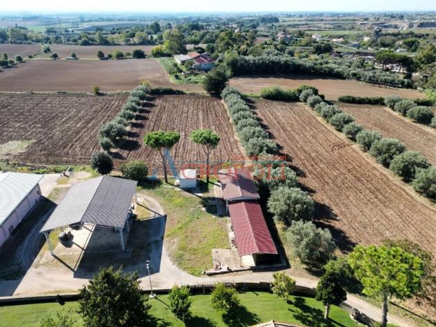 Complesso Misto 13 locali - Rif. 2714 - Foto 15