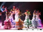 Spettacoli di flamenco