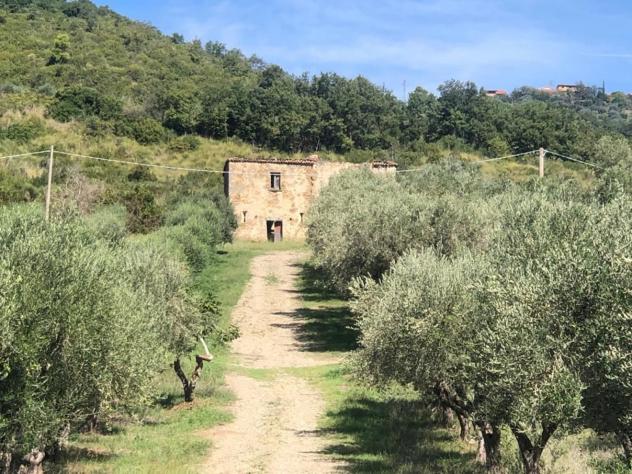 Agricolo in Via Frascinelle - Foto 5