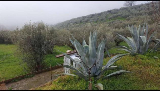 Immobile in asta di 13485 m² in vendita a Gualdo Cattaneo - Foto 3