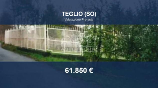 Immobile in asta di 4292 m² in vendita a Teglio