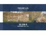 Immobile in asta di 26508 m² in vendita a Tricase