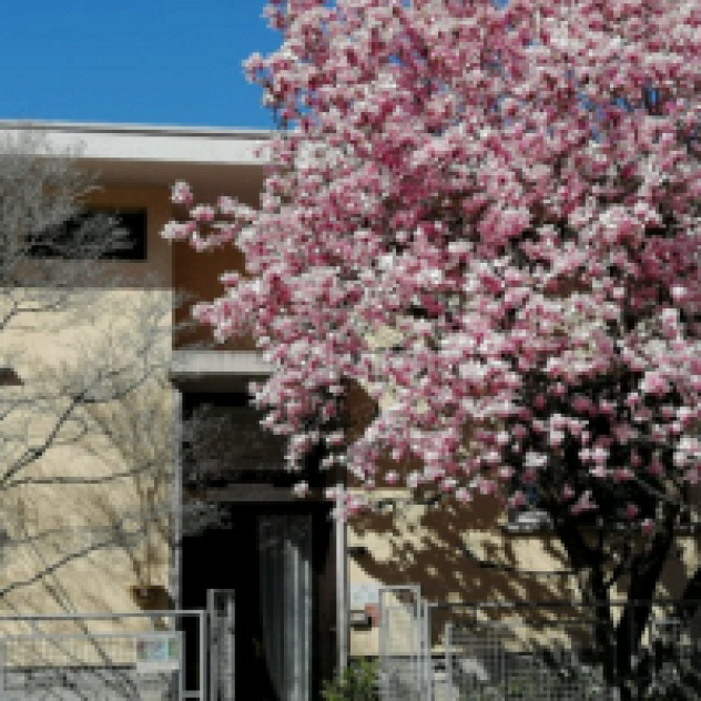 B&B La finestra sul giardino