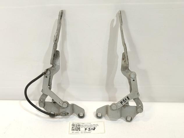 CERNIERE BAULE COFANO POSTERIORE DX SX BMW Serie 3 E90 Berlina 7115263 7115264 M47N204D4 (0508) - Foto 2