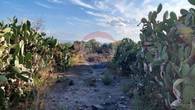 Terreno in vendita a Paternò - Foto 7