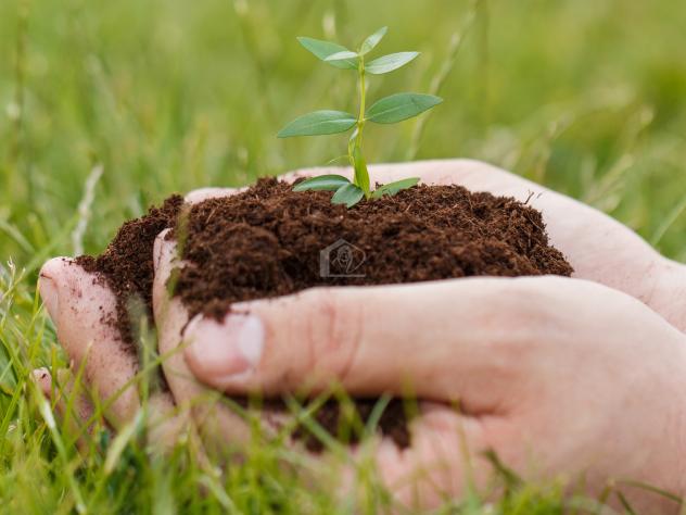 San Giovanni del Dosso vendesi terreno agricolo 65000 Mq