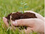 San Giovanni del Dosso vendesi terreno agricolo 65000 Mq