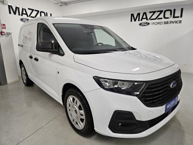Ford Transit Connect 2.0 diesel 102cv Van L1H1 Trend
