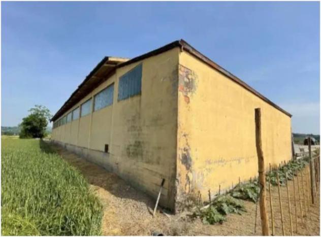 Immobile in asta di 4141 m² in vendita a Corvino San Quirico - Foto 8