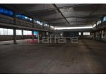 Capannone industriale in vendita a Gello - Pontedera 1245 mq  Rif: 622032