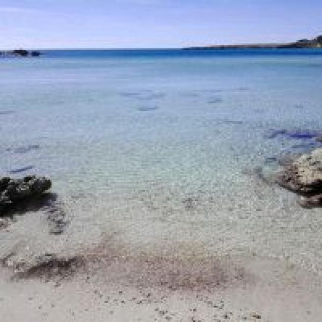 Girasole S.r.l. - Foto 2